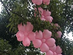 -绿茶餐厅(昆明世纪金源店)