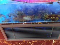 -特色酱椒鱼私房菜(黄鹤楼店)