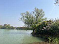 -苏州太湖国家湿地公园