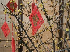 -三顾园(锦里店)