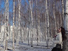 -长春市南湖公园