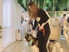 -Husky Go! 哈士奇体验馆·宠物咖啡厅狗咖
