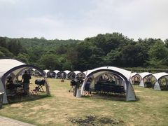 -龙寺生态园