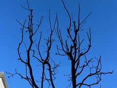 -北京南锣鼓巷亚朵酒店