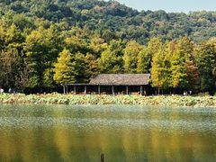 -八卦田遗址公园