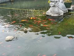 -凤凰山公园-龙王古庙