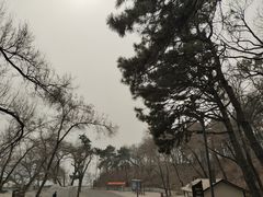 -长春净月潭风景名胜区