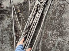 -金鸡山公园