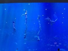-渡海小渔村.老辈日照菜