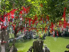 -善卷洞风景区