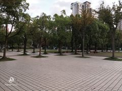 -新江湾城公园