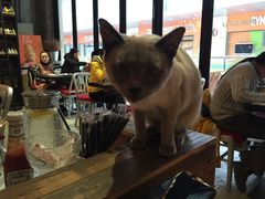 -MIKAKU(万达广场上海宝山店)