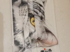 -上海观复博物馆