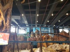 -石狮世茂摩天城摩天轮