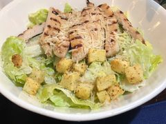 鸡肉凯撒沙拉-bluefrog蓝蛙(皇庭广场店)