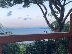 -美人鱼悬崖海景餐厅(鹿嘴山庄店)