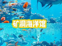 -长鹿旅游休博园