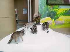 -陕西自然博物馆