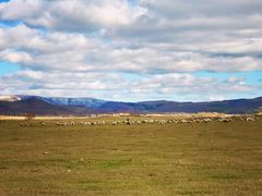 -塞罕坝国家级自然保护区