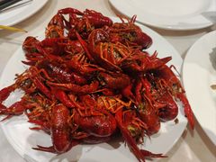 -畅想汤泉生活(民治店)