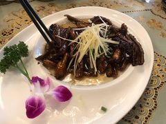 -新聚丰菜馆(太监弄店)