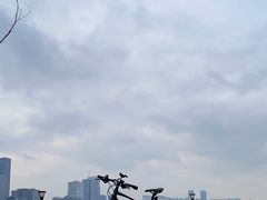 -上海山野camping·户外天幕烧烤·团建拓展营地