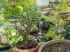 -龙井壹号·茶缘山景宴(龙井村店)