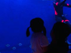 -沈阳海洋探索中心