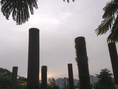 -聚龙山公园