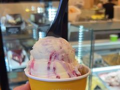 -Patagonia Chocolates(皇后镇店)