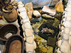 -馬蘭花開(车站大道店)
