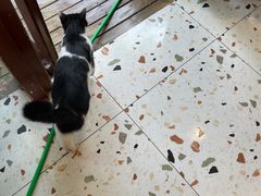 -萤火虫咖啡(后海店)