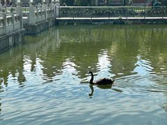 -珠海圆明新园