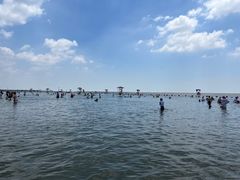 -碧海金沙
