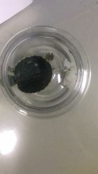 -依萱绮医疗美容
