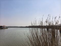 -西青郊野公园