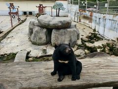 -青峰峡国家森林公园