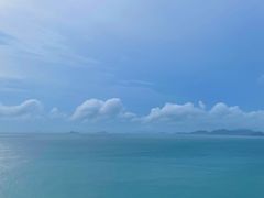 -枸杞岛