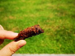 牛肉干-都士牧人现烤牛肉干