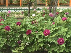 -太阳宫公园