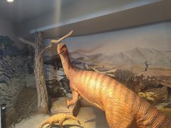 -陕西自然博物馆