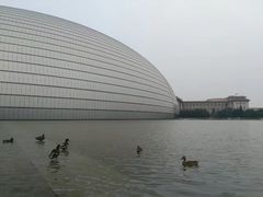 -国家大剧院