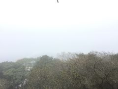 -金盆阿嬷香菇茶叶蛋(玄光店)