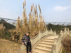 -都江堰玫瑰花溪谷