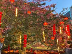 -大佛寺高级素食自助餐厅