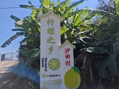 -广州市帽峰山景区