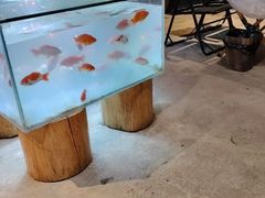 -海底捞火锅(铂澜大象城店)