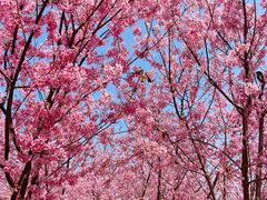 -福建鲤鱼洲酒店