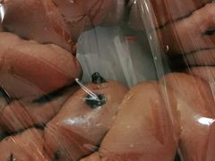 -马克西姆餐厅(崇文门店)