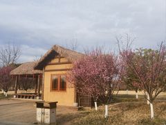 -良渚古城遗址公园